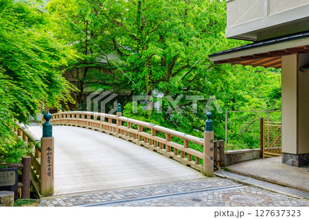 初夏のこおろぎ橋　石川県加賀市 127637323