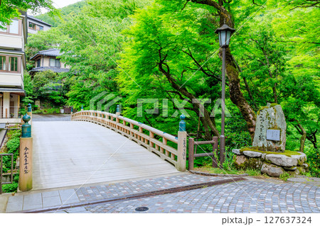 初夏のこおろぎ橋　石川県加賀市 127637324