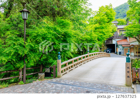 初夏のこおろぎ橋 石川県加賀市 初夏のこおろぎ橋 石川県加賀市 127637325