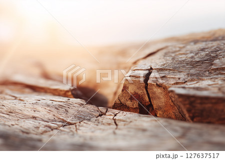 木の表面と朝の光｜自然素材の温もりを感じる木目テクスチャ背景 127637517