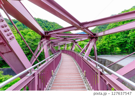 初夏のあやとり橋　石川県加賀市 127637547