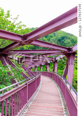 初夏のあやとり橋 石川県加賀市 初夏のあやとり橋 石川県加賀市 127637549
