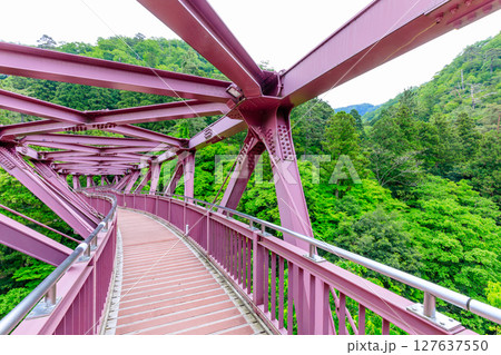 初夏のあやとり橋 石川県加賀市 初夏のあやとり橋 石川県加賀市 127637550