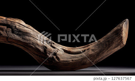 一本の枯れ枝と黒背景のコントラスト|乾いた質感が際立つ自然物の静物アート 一本の枯れ枝と黒背景のコントラスト|乾いた質感が際立つ自然物の静物アート 127637567