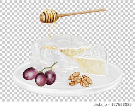 Cheese watercolor drawing. Camembert or brie picture with with grapes, nuts and honey. Hand drawn illustration of dairy cream product of French cuisine. Clip art of food on white background. Ideal for 127638089
