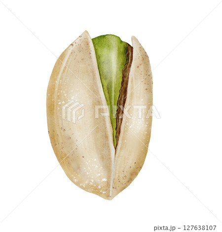 Pistachio watercolor. Hand drawn nut with shell isolated on white background. Realistic snack clip art. Ideal for logo, product packaging, banner 127638107