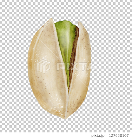 Pistachio watercolor. Hand drawn nut with shell isolated on white background. Realistic snack clip art. Ideal for logo, product packaging, banner 127638107