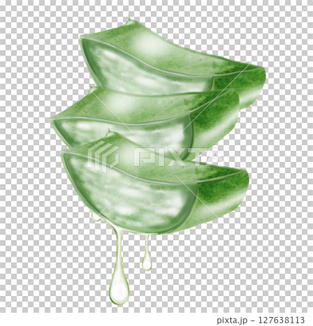 Aloe Vera with pulp, set of leaves on cut. Herbal medicine plants watercolor illustration on isolated white background. Clip art botany. Ideal for cosmetics packaging and beauty blogs design 127638113