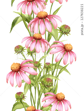 Elegant hand-drawn vertical border with pink echinacea flowers and green leaves. Perfect for stationery, or digital backgrounds with a natural, floral theme. 127638221