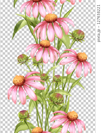 Elegant hand-drawn vertical border with pink echinacea flowers and green leaves. Perfect for stationery, or digital backgrounds with a natural, floral theme. 127638221