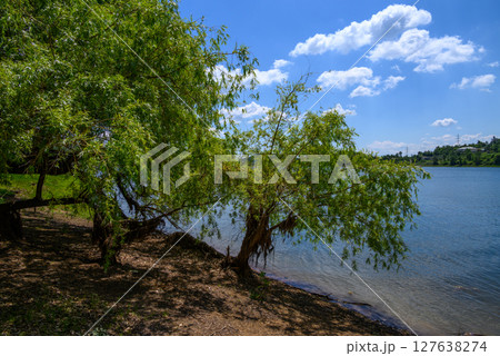 Bor Lake (Borsko jezero), an artificial lake in Eastern Serbia near the city of Bor Bor Lake (Borsko jezero), an artificial lake in Eastern Serbia near the city of Bor 127638274