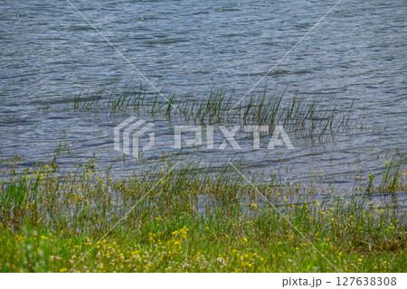 Bor Lake (Borsko jezero), an artificial lake in Eastern Serbia near the city of Bor 127638308