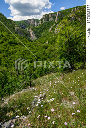 Landscape of of Lazar Canyon (Lazarev kanjon), the deepest and longest canyon in eastern Serbia, near the city of Bor Landscape of of Lazar Canyon (Lazarev kanjon), the deepest and longest canyon in eastern Serbia, near the city of Bor 127638373