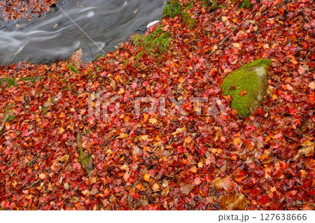 るり渓の散紅葉 127638666