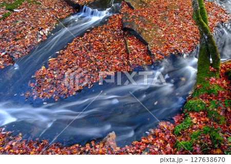 るり渓の散紅葉 るり渓の散紅葉 127638670