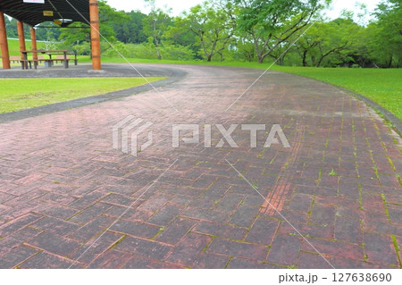 公園 道 曇り空 公園 道 曇り空 127638690
