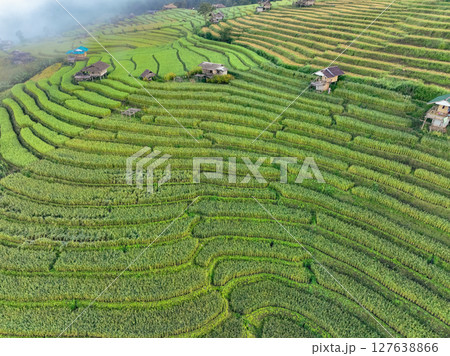 Aerial view of green rice terraces and small traditional huts in a rural village near Chiangmai, Thailand, captured during growing season to reflect eco farming, local lifestyle, and scenic heritage 127638866