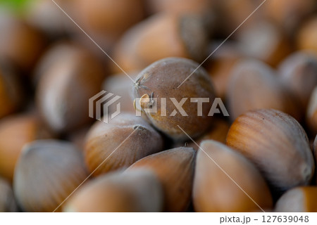 Macro closeup view of pile of raw shelled Hazelnuts, healthy food Macro closeup view of pile of raw shelled Hazelnuts, healthy food 127639048
