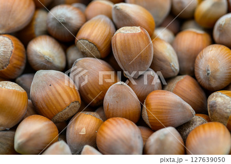Macro closeup view of pile of raw shelled Hazelnuts, healthy food 127639050