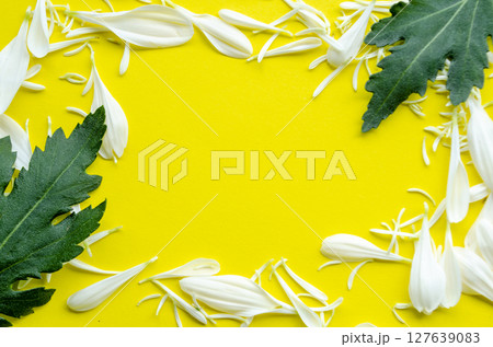 Yellow floral frame with leaf corners and blank copy space for text 127639083