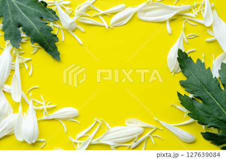 Bright yellow floral background with leaf border and copy space Bright yellow floral background with leaf border and copy space 127639084