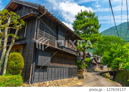花沢の里  【静岡県】 127639137
