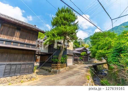 花沢の里  【静岡県】 127639161