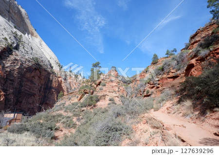 アリゾナ 127639296