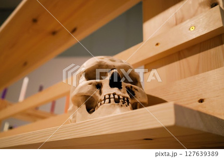 本棚に置かれた骸骨の置物 本棚に置かれた骸骨の置物 127639389