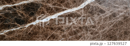 Truffle marble deep brown slab with white vein crossing dramatic structure 127639527