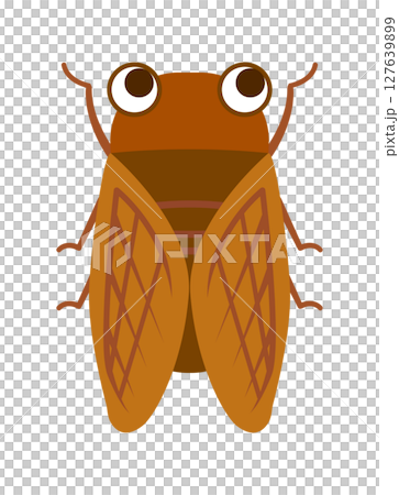 Cute cicada illustration 127639899