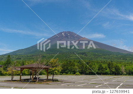 夏の水ケ塚公園 新緑 富士山 夏の水ケ塚公園 新緑 富士山 127639941