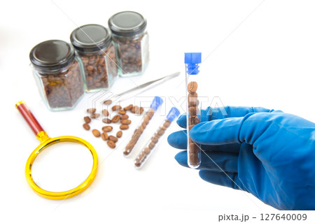 A research scene showcases coffee beans in test tubes, held by a gloved hand 127640009