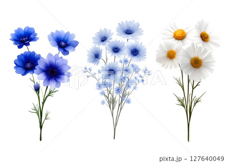 Elegant floral composition featuring blue flowers and white daisies with vibrant yellow centers on a white background. Perfect for botanical designs, nature-inspired projects, and decor. 127640049