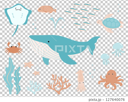 夏の海の生き物シンプルかわいいイラストセット 127640076