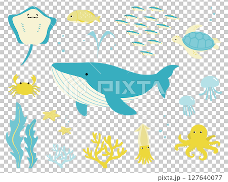 夏季海洋生物簡單可愛的插圖集 夏季海洋生物簡單可愛的插圖集 127640077