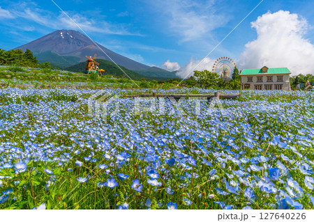 富士山　ネモフィラ 127640226