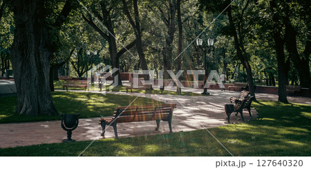 A series of empty park benches sit in the shade of tall trees, providing a cool and peaceful retreat A series of empty park benches sit in the shade of tall trees, providing a cool and peaceful retreat 127640320