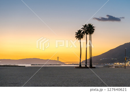 夕暮れに佇むヤシの木と海辺の風景 夕暮れに佇むヤシの木と海辺の風景 127640621