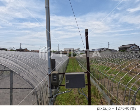 愛知県西尾市　田園風景 127640708