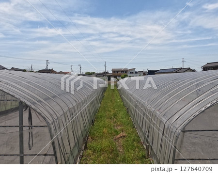 愛知県西尾市　田園風景 127640709