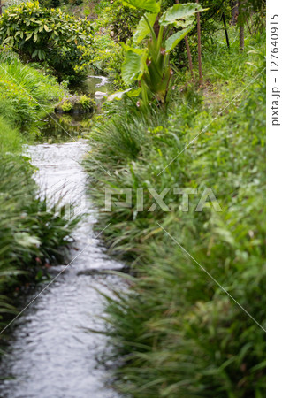 静寂の中にたたずむ春の水辺の風景 127640915