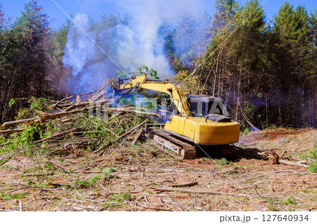 Excavator is removing trees debris from forest as smoke rises in air under works day at construction area 127640934