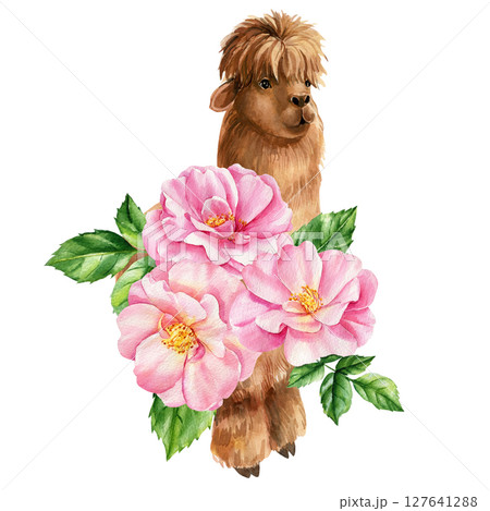 Watercolor brown alpaca with soft pink camellia flowers and green leaves spring botanical illustration poster, art print, decor Watercolor brown alpaca with soft pink camellia flowers and green leaves spring botanical illustration poster, art print, decor 127641288