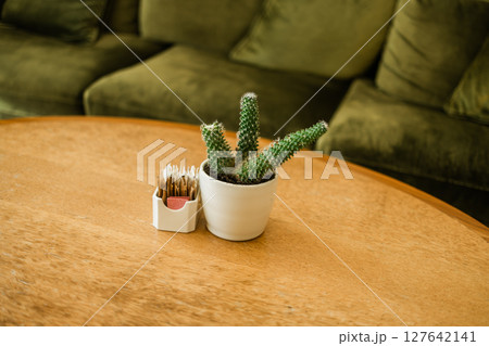 Cactus in white ceramic pot on wooden cafe table. Cozy minimalism and natural decor create a relaxing indoor environment. Cactus in white ceramic pot on wooden cafe table. Cozy minimalism and natural decor create a relaxing indoor environment. 127642141
