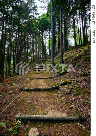 半国山の登山道 127642322