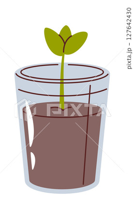 Potted plant in plastic glass Potted plant in plastic glass 127642430