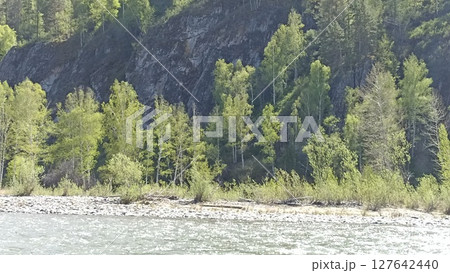Idyllic River Landscape with Lush Green Forest and Rocky Cliff in Summer Season Day Light 127642440