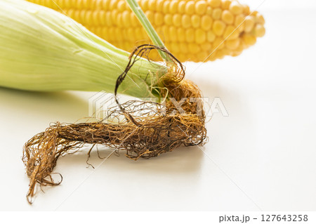 トウモロコシのひげ トウモロコシのひげ 127643258