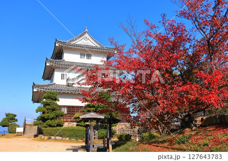 【香川県】真っ赤に紅葉した秋の丸亀城（現存天守と石垣の名城） 127643783